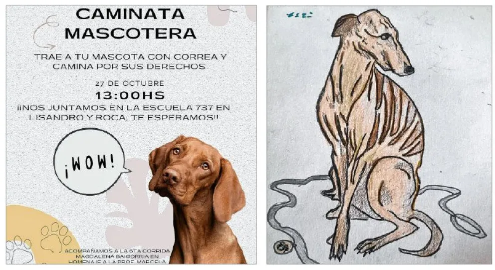 Realizarán una “Caminata Mascotera” en el marco del proyecto “Tu Amigo Fiel”