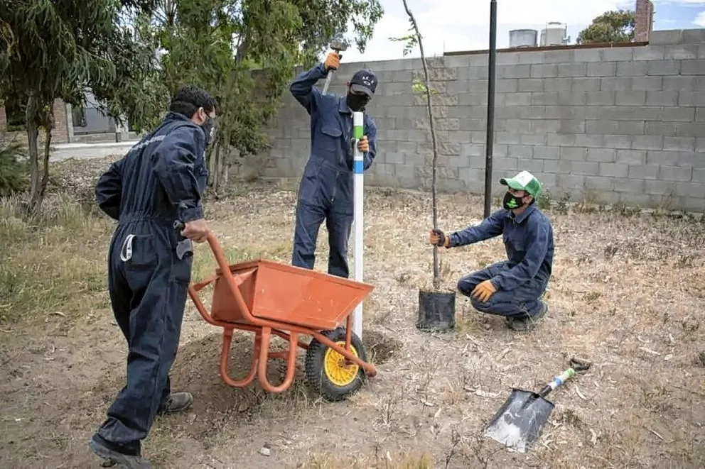 Vecinos de barrios Roca y José Fuchs ya pueden inscribirse al programa “Mi barrio más verde”