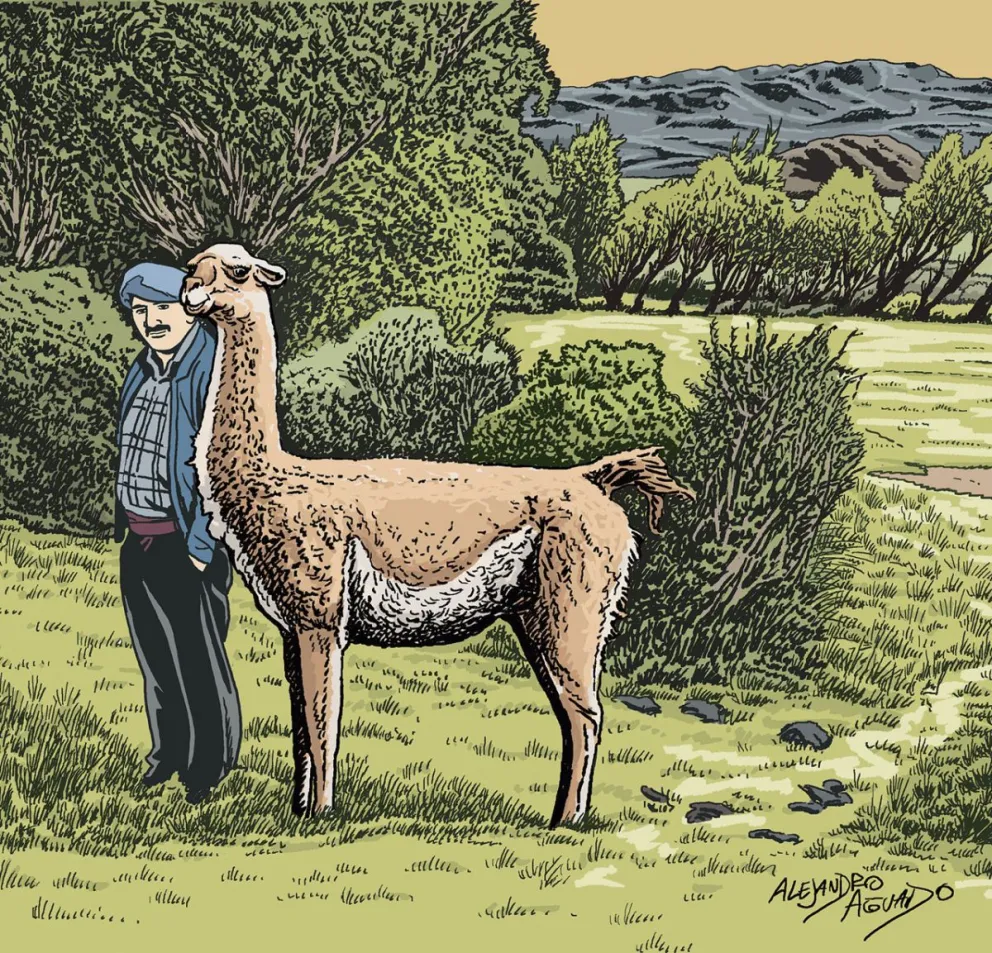 “Chu”, un guanaco con historia