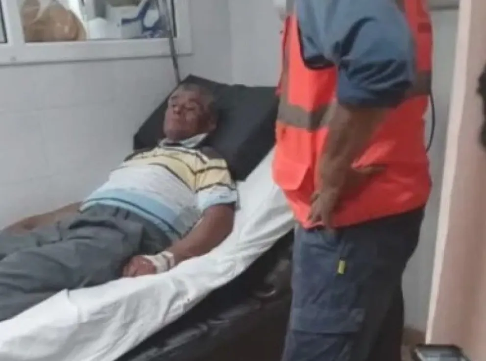Lo buscaban desde hacía una semana y apareció trepado a un árbol