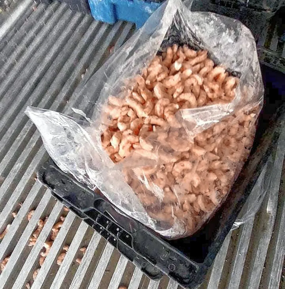 El asalto en el que robaron los 20.000 kilos de langostino cerca de Madryn era falso y la policía recuperó la carga en Camarones