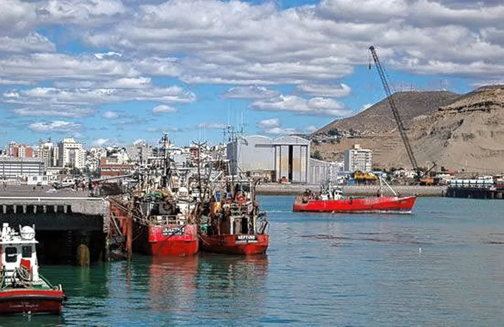 Conflicto con SUPA: Empresas pesqueras de Comodoro aseguran que sale más caro el costo de la descarga que un cajón de materia prima