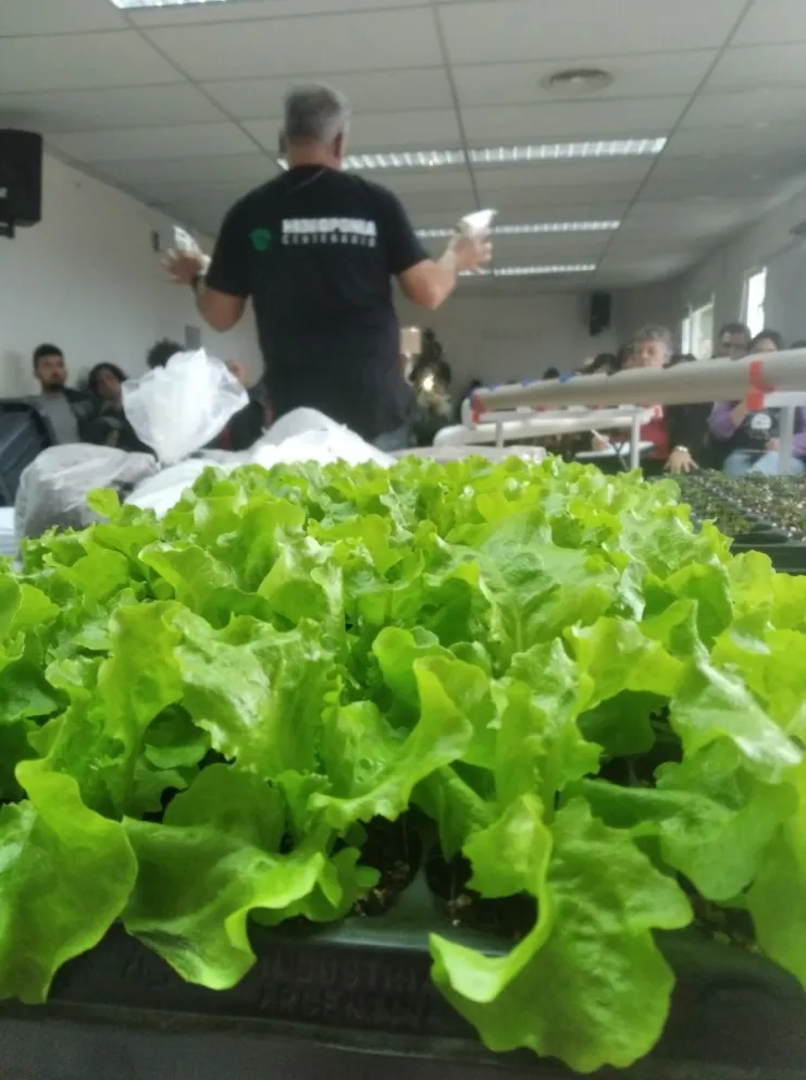 Taller el ABC de la Hidroponía Productiva