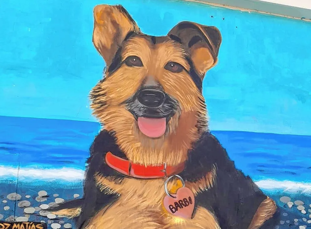 Homenaje a los animales fallecidos en el mural de “Barbi”
