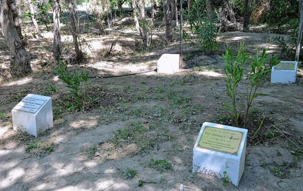 Plantaron dos árboles en homenaje a los fallecidos por Covid-19 en la UNPSJB