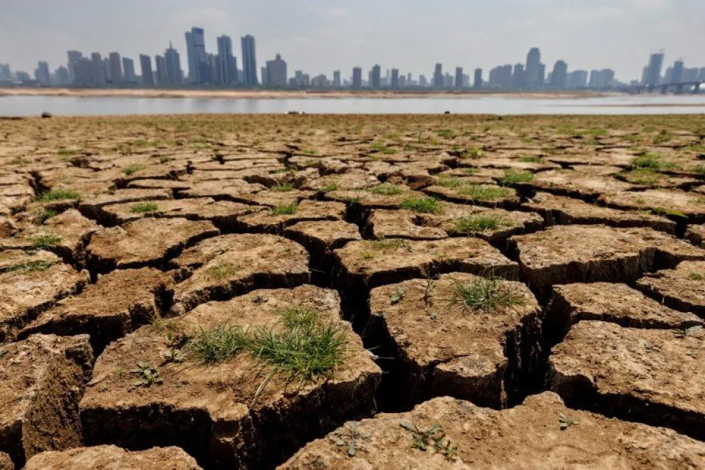 Científicos advirtieron que 2023 será el año más cálido de los últimos 125.000