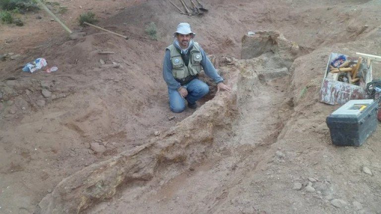 Descubrieron una nueva especie de dinosaurio con el cuerpo "casi completo" en la Patagonia