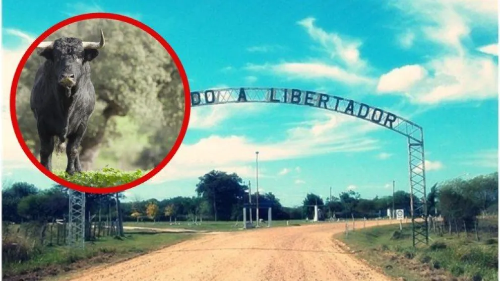 Horror en Corrientes: un toro mató a su dueño de una cornada cuando intentaba escapar