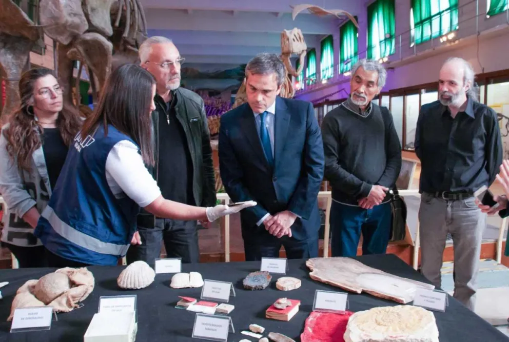 Detuvieron el contrabando de una enorme colección de fósiles