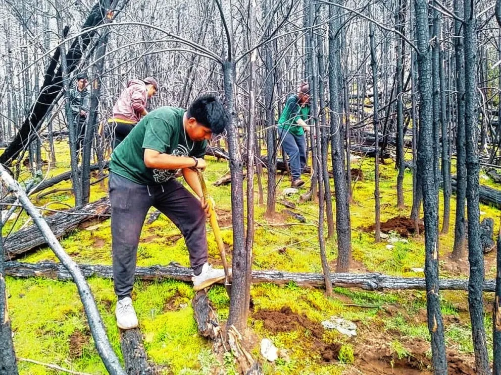Se llevó a cabo el cierre de la campaña anual de restauración de bosques