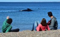 Diez cosas para hacer en Puerto Madryn, la capital patagónica de las ballenas