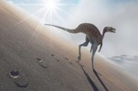 Identificaron una nueva especie de dinosaurio en Brasil
