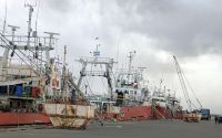 El SUEPP renunció a las pretensiones de cobrar “jornales caídos” y se normaliza la actividad en el puerto deseadense