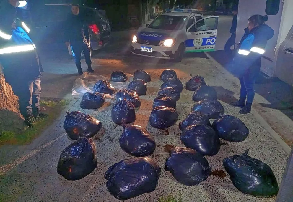 José de San Martín: interceptan camioneta con 500 kilos de carne de guanaco que iba con destino a El Bolsón y otra se dio a la fuga