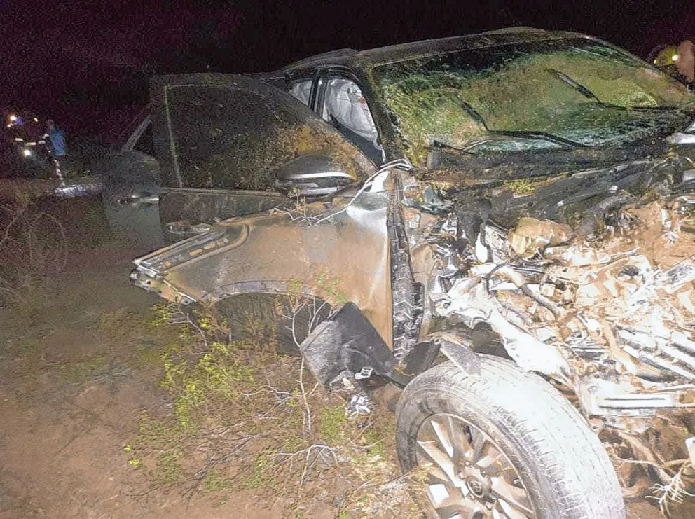 Camioneta impacta contra vacuno: sus ocupantes sólo sufrieron golpes y el animal murió