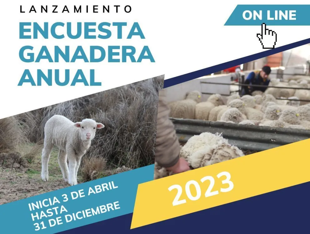 El Gobierno del Chubut recuerda que se encuentra vigente la Encuesta Pecuaria 2023