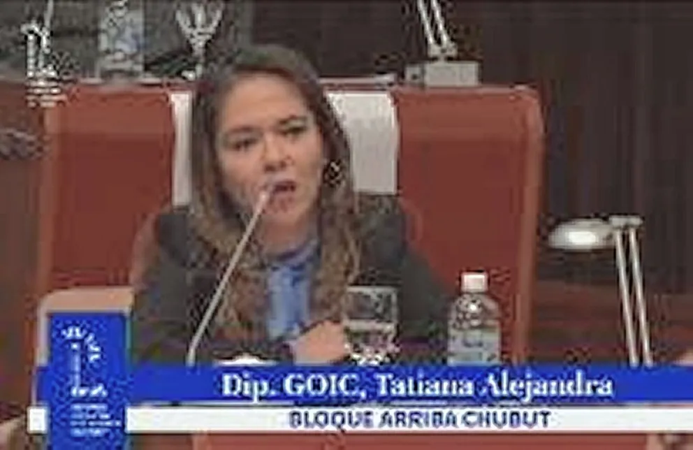 Goic: “Nadie desconoce la situación catastrófica de esta provincia en materia educativa”