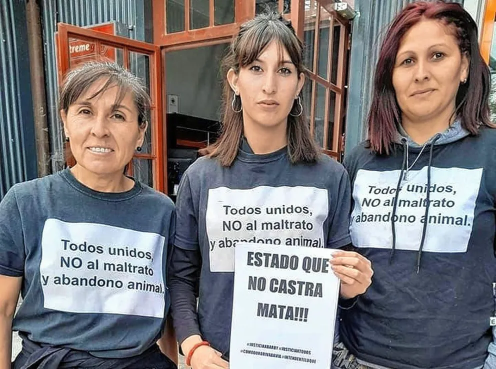 Animalistas de esta ciudad se manifiestan hoy en reclamo de las 150 castraciones diarias