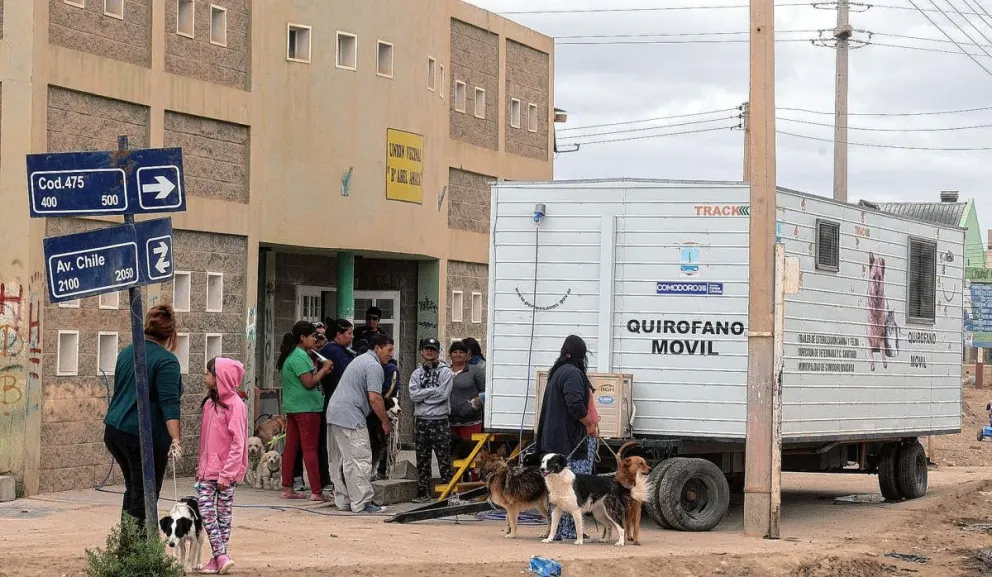 Exigieron acciones inmediatas para controlar la superpoblación animal en Comodoro