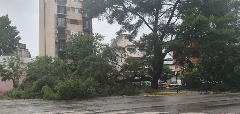 Temporal de lluvia y viento en la ciudad de Buenos Aires y el Conurbano: inundaciones, destrozos y caídas de árboles