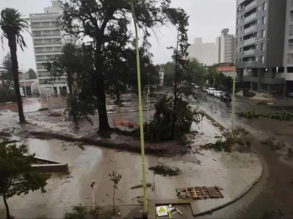 Identificaron a nueve de los trece muertos por el temporal en Bahía Blanca