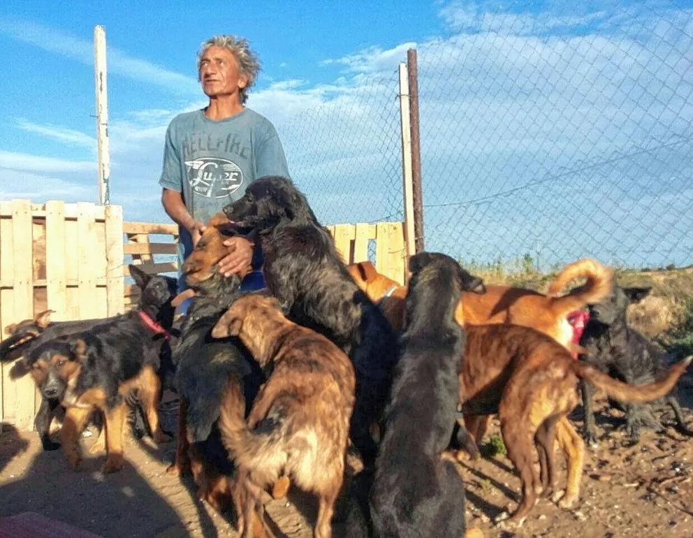 Bingos y actividades para colaborar con un vecino que rescató a más de 60 perros abandonados
