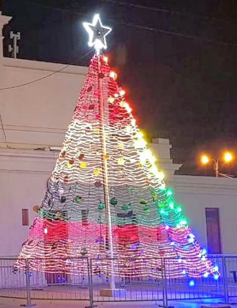 Invitan a los vecinos a adornar el árbol navideño del natatorio de avenida Polonia