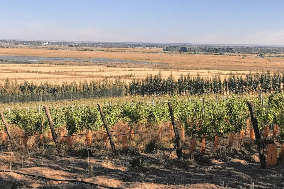 El embajador de Estados Unidos visitó emprendimientos productivos de Sarmiento