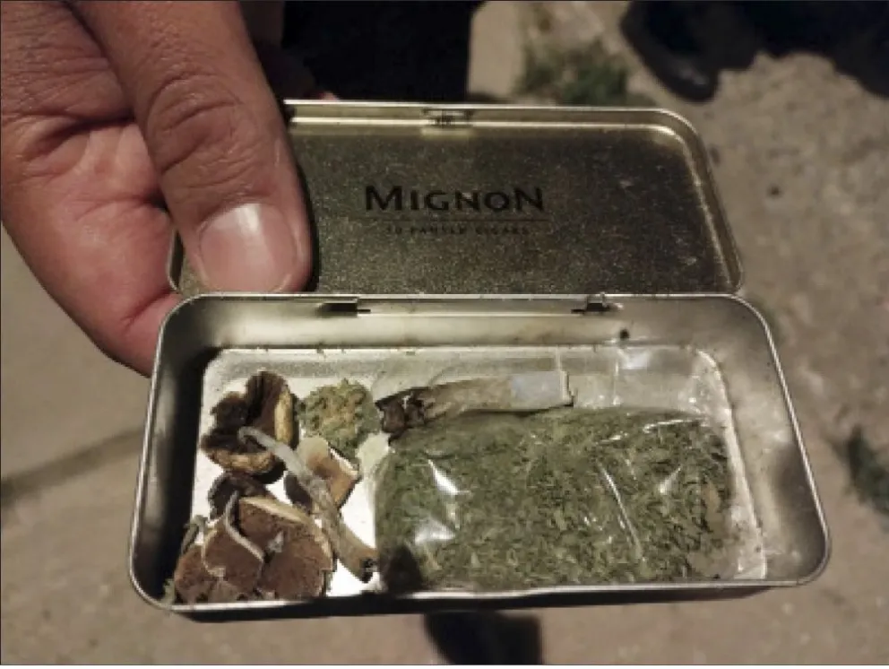 Caminaba por calles de Rada Tilly con porritos de marihuana y hongos alucinógenos que se los secuestró la policía
