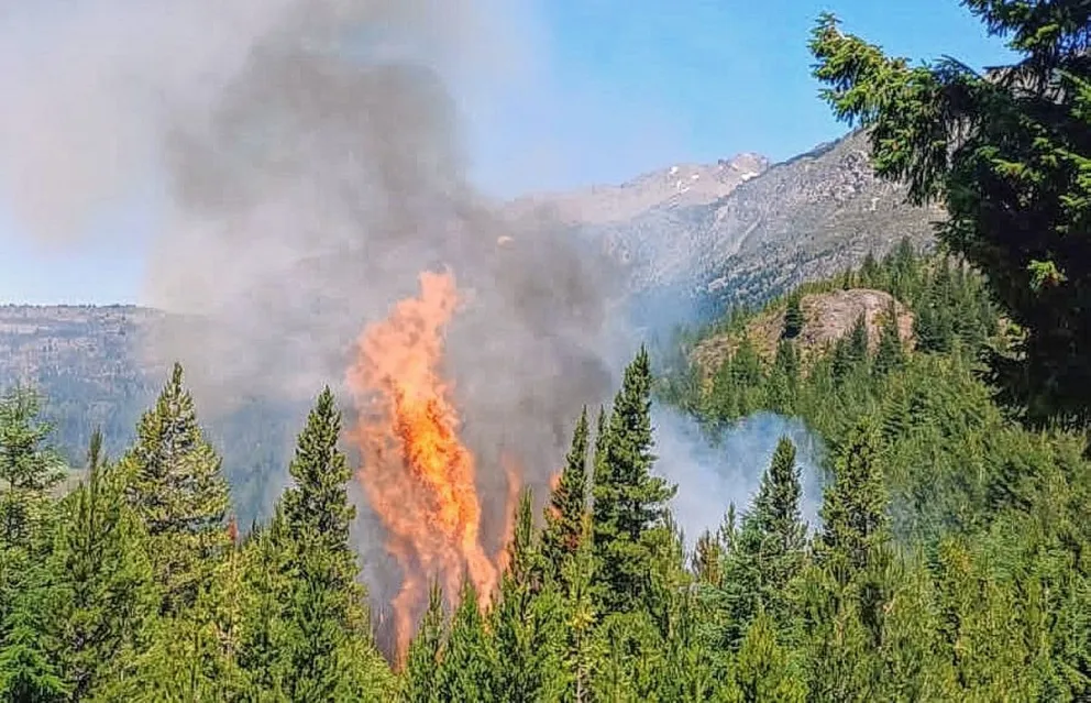 Se quemaron 700 metros cuadrados de un campo boscoso cercano a Epuyén
