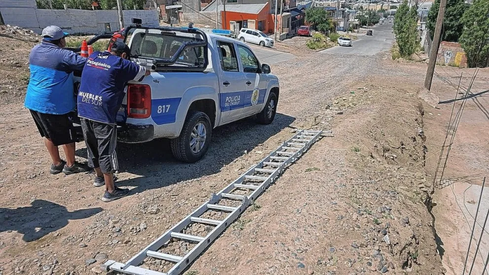 Por intentar llevarse cables de postes de luz en la vía pública terminaron presos y con una escalera plegable secuestrada