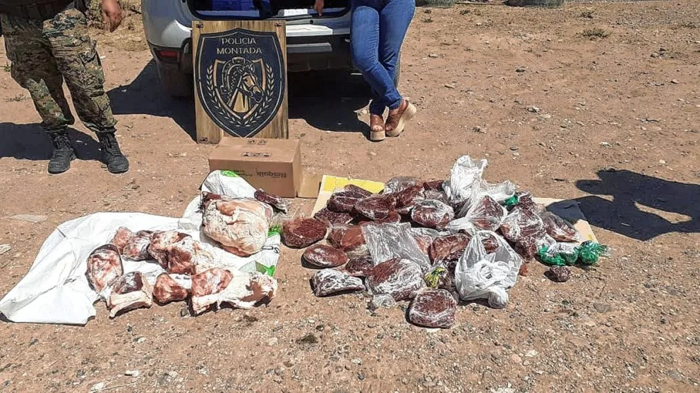 Traía guanaco y cordero faenados desde Sarmiento a Comodoro y se los decomisaron en control en la ruta 26