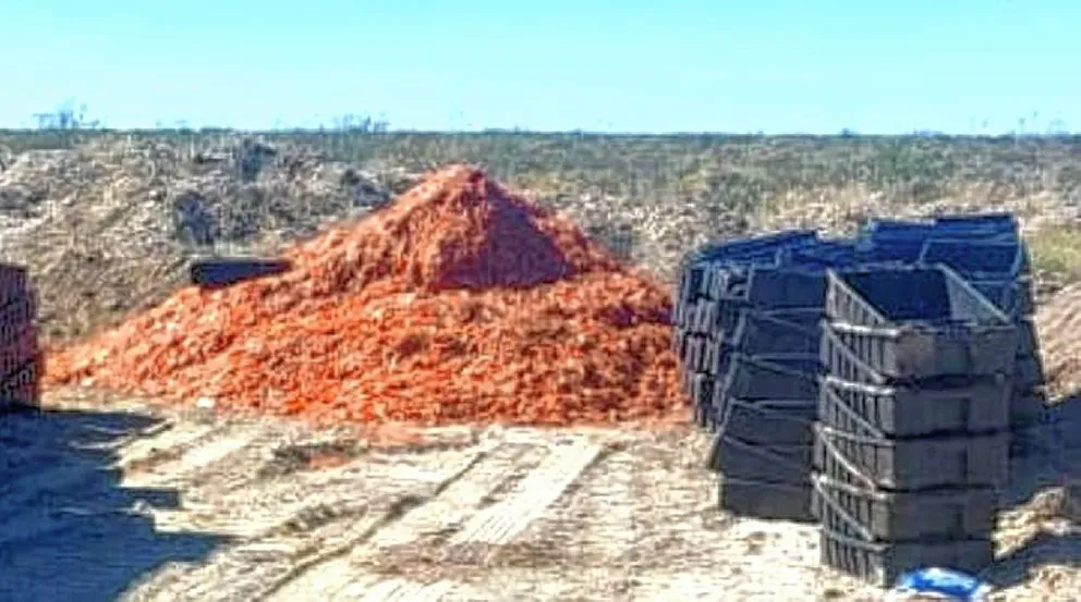 Denunciarán penalmente a la dirigencia del SUPA Rawson por la pérdida de 340 mil kilos de langostino
