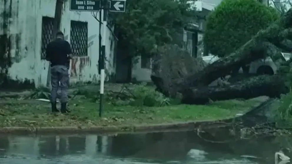 Murió un bebé de un año en Formosa tras un fuerte temporal: un árbol cayó en su casa
