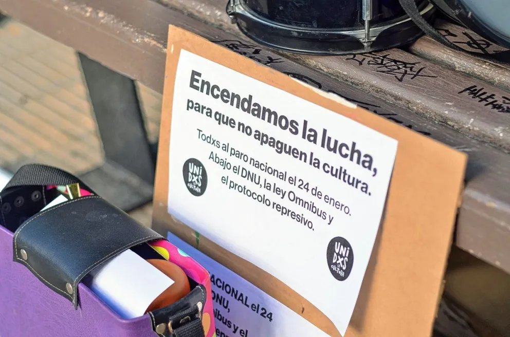ISFD: “La aprobación de la Ley Ómnibus implicaría un verdadero ahogo y un profundo desastre para la cultura, arte y educación”