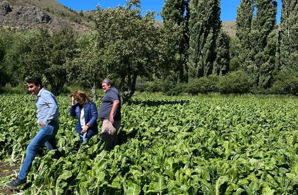 Trabajan para potenciar la actividad productiva y el crecimiento de emprendimientos en la Cordillera