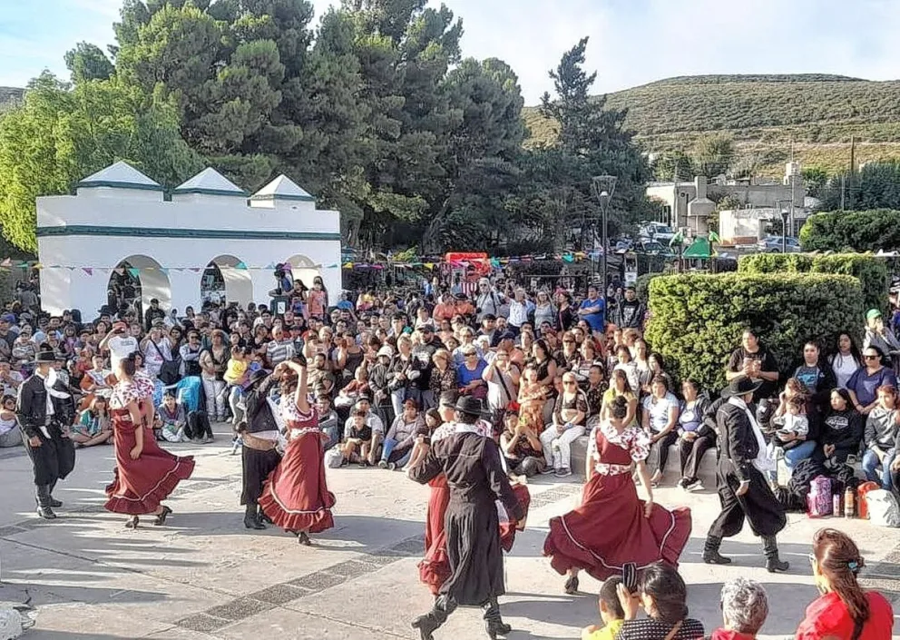 Se viene la V Edición del Festival del Damasco Patagónico en barrio Laprida
