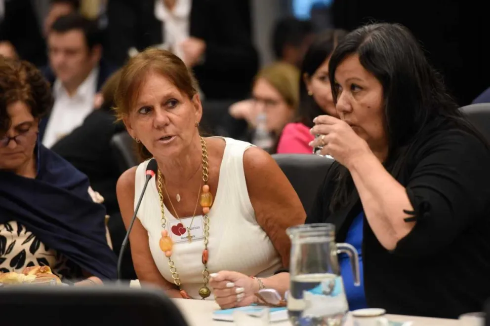 Desgarrador relato de la mamá de Chano en Diputados sobre adicciones y Salud Mental: "Los pibes se están muriendo"