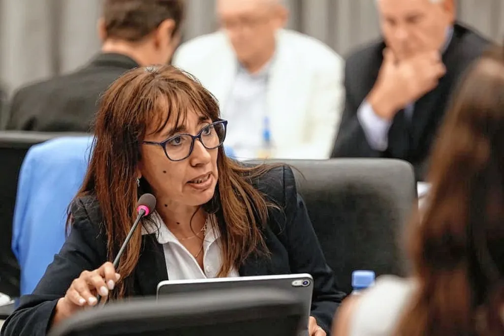 Ley de Pesca en el Congreso: Reyes pidió proteger a la industria, los recursos y el trabajo argentino