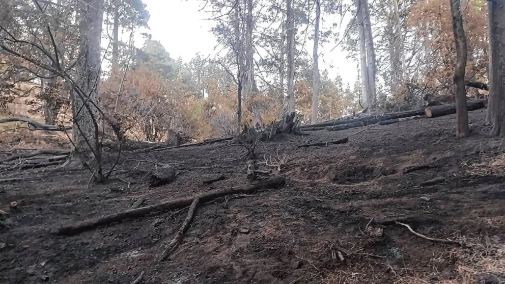 Se lograron controlar dos incendios forestales en la zona de Trevelin