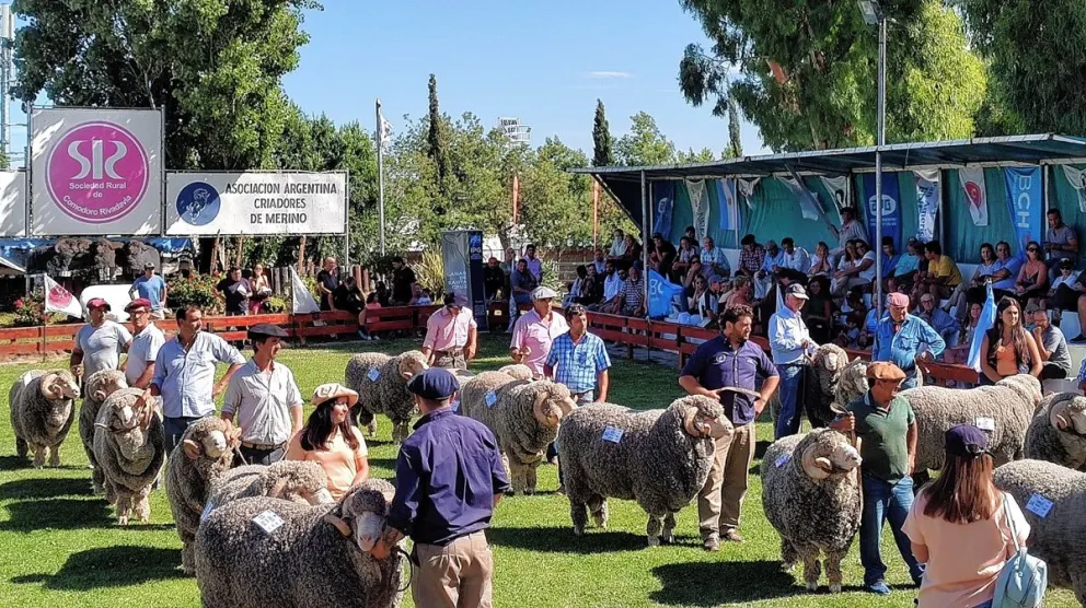 El 2, 3 y 4 de febrero se realizará en Comodoro la 86° Expo Ganadera de la Sociedad Rural