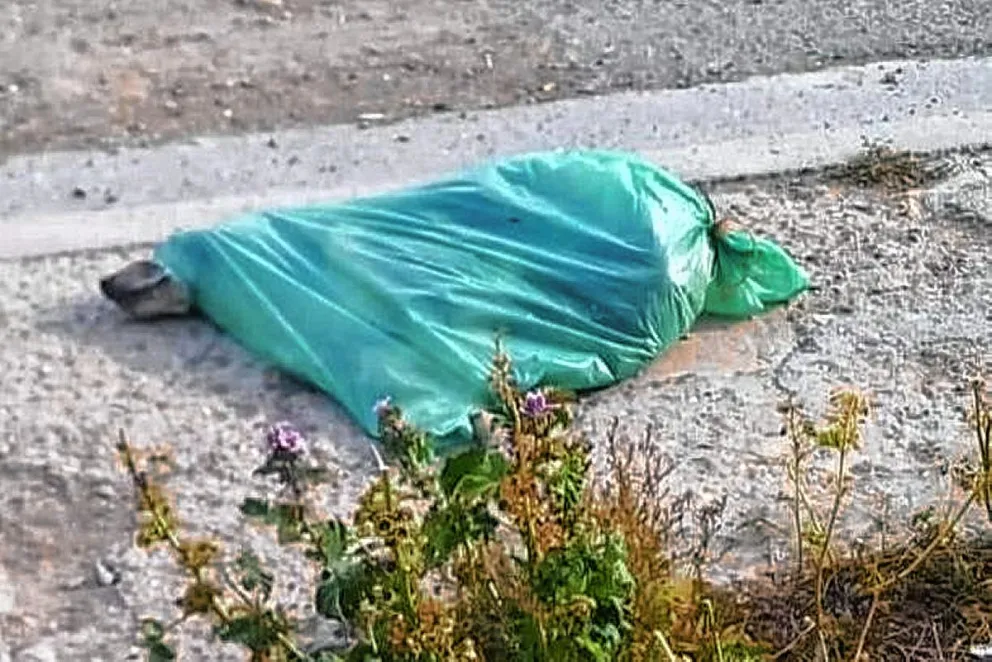 Una familia fue denunciada por poner a su perra agonizante dentro de una bolsa para dejarla morir