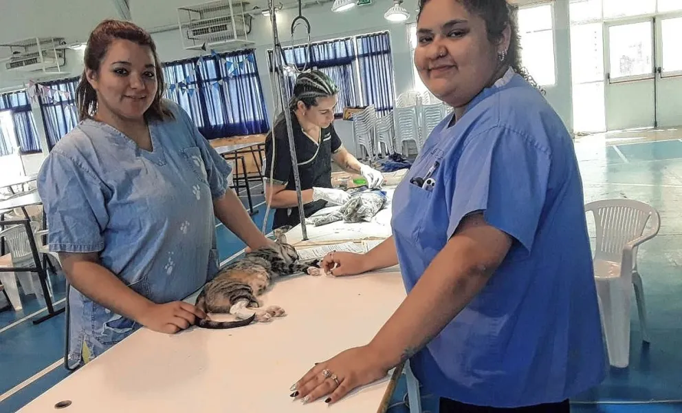 En una nueva jornada masiva, ALMA castró, desparasitó y vacunó de rabia a casi 80 perros y gatos