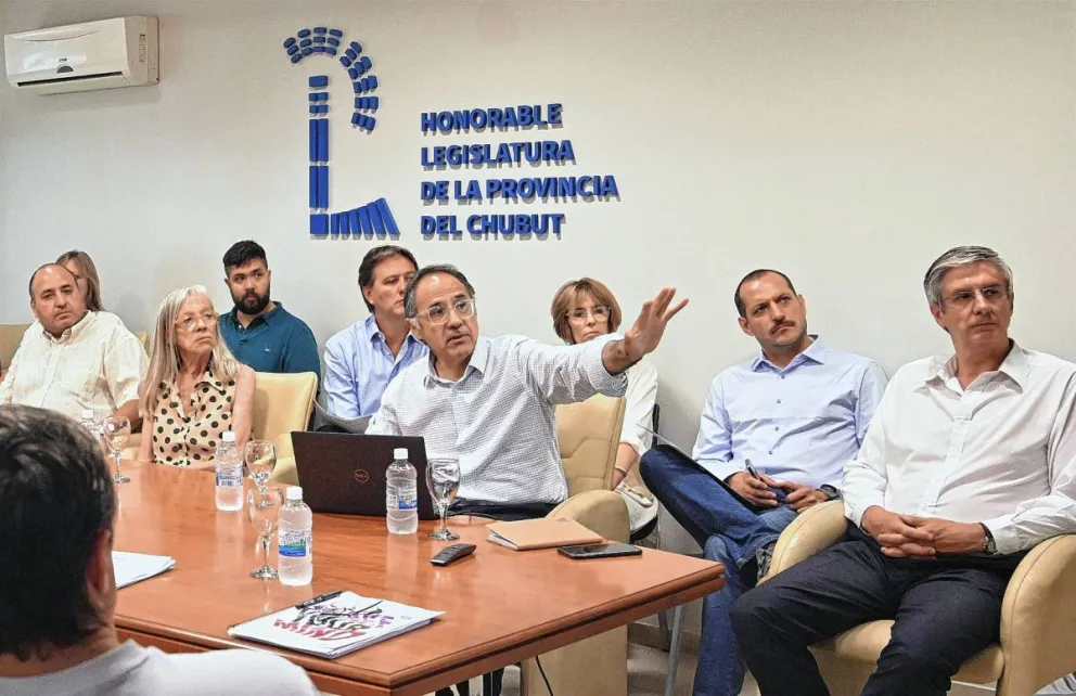 Emergencia sanitaria: diputados en plenario de comisiones se reunieron con el secretario de Salud, Sergio Wisky