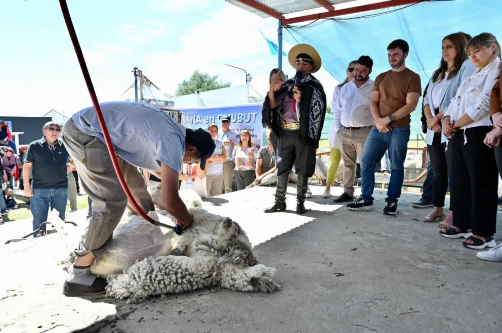 El Gobierno Provincial revalorizó la actividad ganadera en la Fiesta Nacional de la Esquila