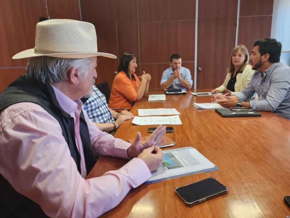 Macharashvili se reunió con diputados por la Ley de Promoción Hidrocarburífera