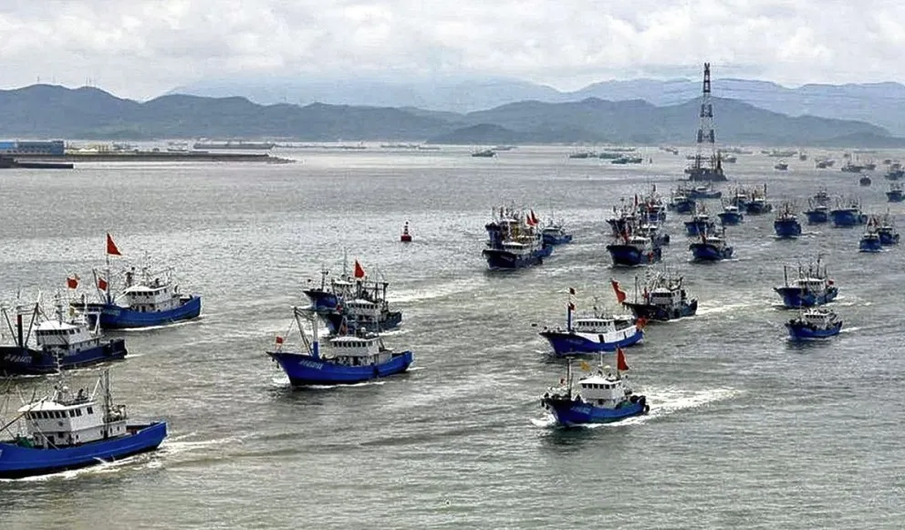 Desde una fundación advierten los graves peligros del Sistema de Licitación en la pesca