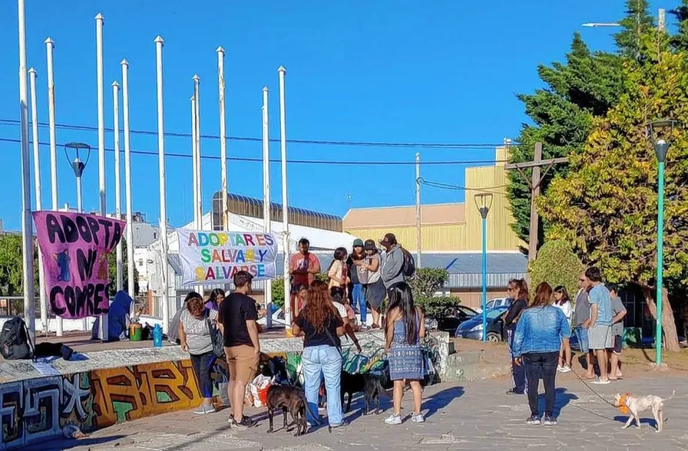 Hoy habrá una jornada de adopción de perros y gatos en la Plaza de Las Naciones