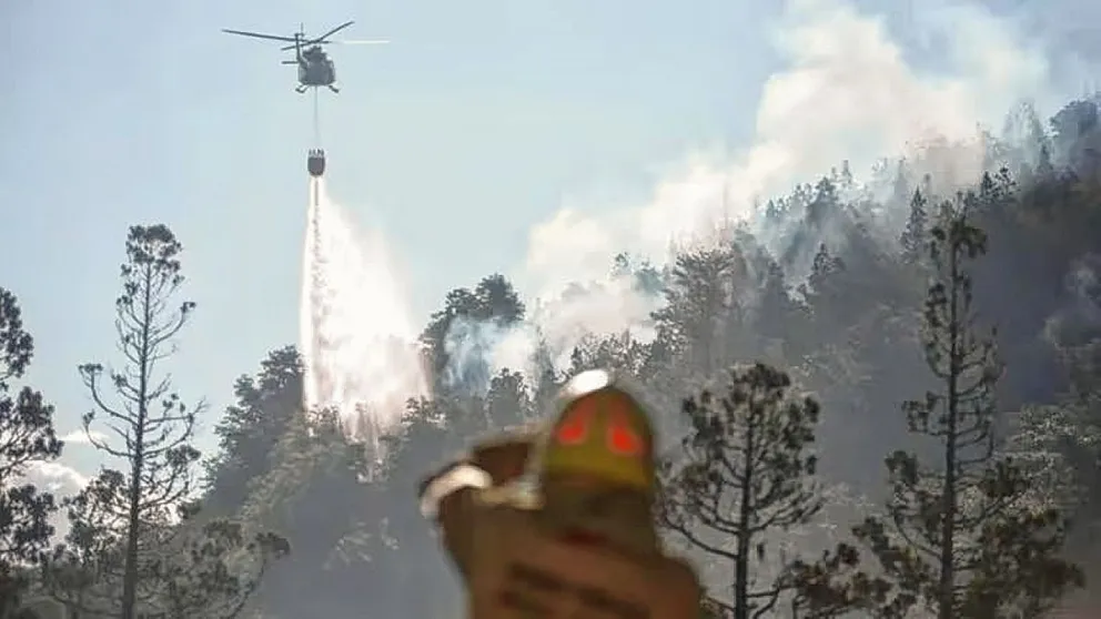 Sigue el trabajo de los brigadistas que procuran contener el incendio forestal en el Parque Nacional Los Alerces