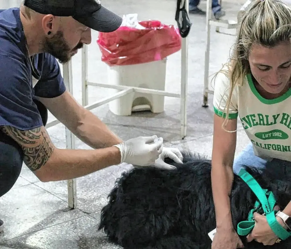 Difundieron el cronograma de castraciones en esta ciudad y los próximos destinos
